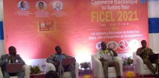 Commerce électronique : 36 recommandations pour améliorer le secteur LES-ACTEURS-DU-DOMAINE