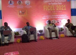 Commerce électronique : 36 recommandations pour améliorer le secteur LES-ACTEURS-DU-DOMAINE