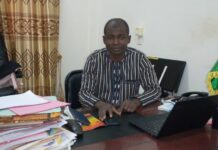 Accroissement  de la désertification : avec la REDD+, le Burkina espère inverser la tendance