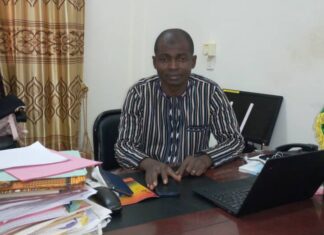 Accroissement de la désertification : avec la REDD+, le Burkina espère inverser la tendance