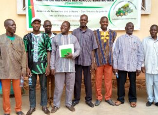 Promotion des biotechnologies : les agriculteurs fédèrent leurs forces