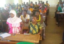 Entrepreneuriat : plus d’une centaine d’élèves bénéficient d’une formation en aviculture Entrepreneuriat-plus –d-une –centaine- d-élèves -bénéficient –d-une -formation –en- aviculture