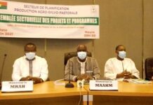 Assemblées sectorielles des projets et programmes « production agro-sylvo-pastorale » : le ministre Salifou Ouédraogo satisfait de la performance moyenne qui a connu une hausse Assemblées- sectorielles –des- projets- et –programmes- production- agro-sylvo-pastorale – le- ministre- Salifou- Ouédraogo- satisfait -de -la –performance- moyenne -qui -a –connu- une -hausse
