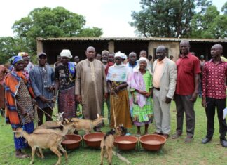 Commune de Poa : 240 chèvres pour permettre à 120 femmes vulnérables de s’autonomiser