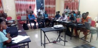 Gaoua: la direction régionale de la communication outille des responsables de médias sur les genres journalistiques Les-acteurs-medias-Sud-ouest-école-journalisme