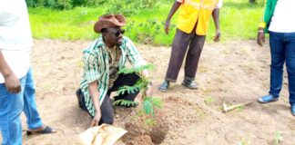 Lutte contre l’avancée du désert : Me. Bénéwendé Stanislas SANKARA donne l’exemple