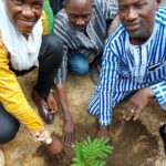 Journée de reboisement dans la commune de Gorom- Gorom : 300 plants mis en terre
