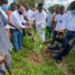 Houndé La Verte 5e édition : 150 plants seront mis en terre Houndé-La-Verte