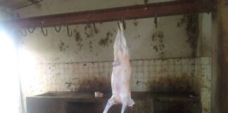 Abattoir de Diébougou: manque de vétérinaire, manque d’hygiène