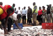 Grande Saison du Tourisme Interne : Bagré, vitrine de l’agritourisme et de l’écotourisme