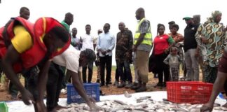 Grande Saison du Tourisme Interne : Bagré, vitrine de l’agritourisme et de l’écotourisme
